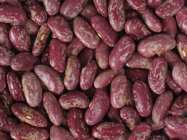 Light Speckled Kidney Beans